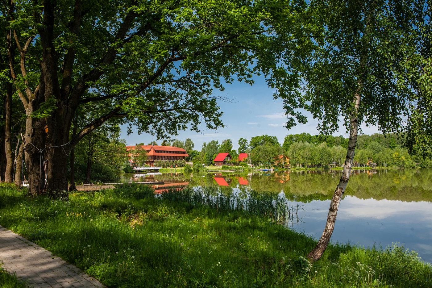 Тропарево лесопарк фото