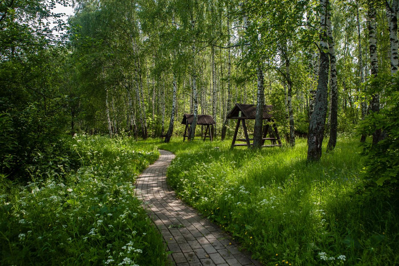 Тропарево лесопарк фото